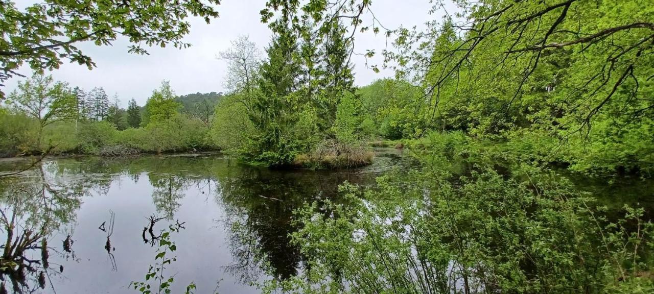 Gite Du Cheval Blanc A Houmont Sainte-Ode Εξωτερικό φωτογραφία
